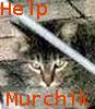 Help to Murchik!